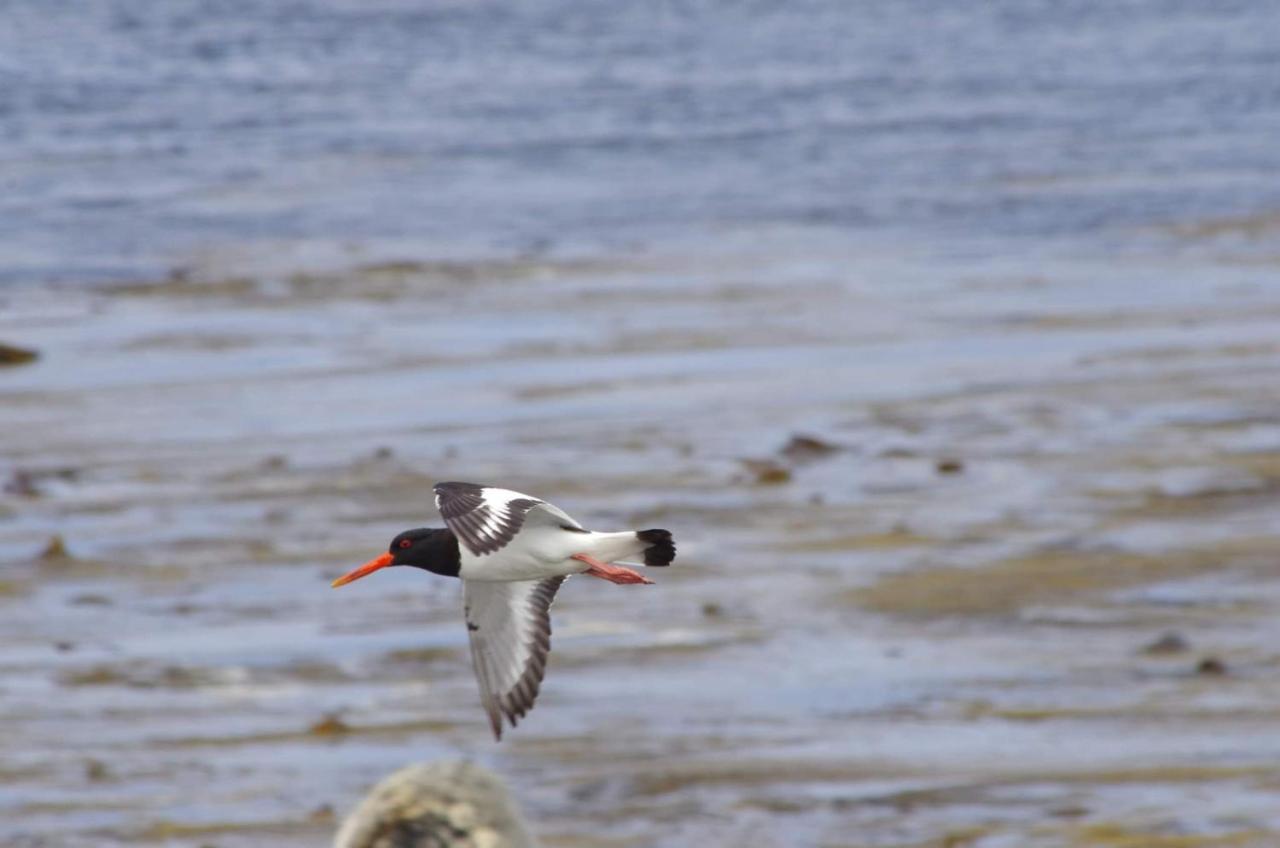 Bru Chlann Lir 3* Belmullet